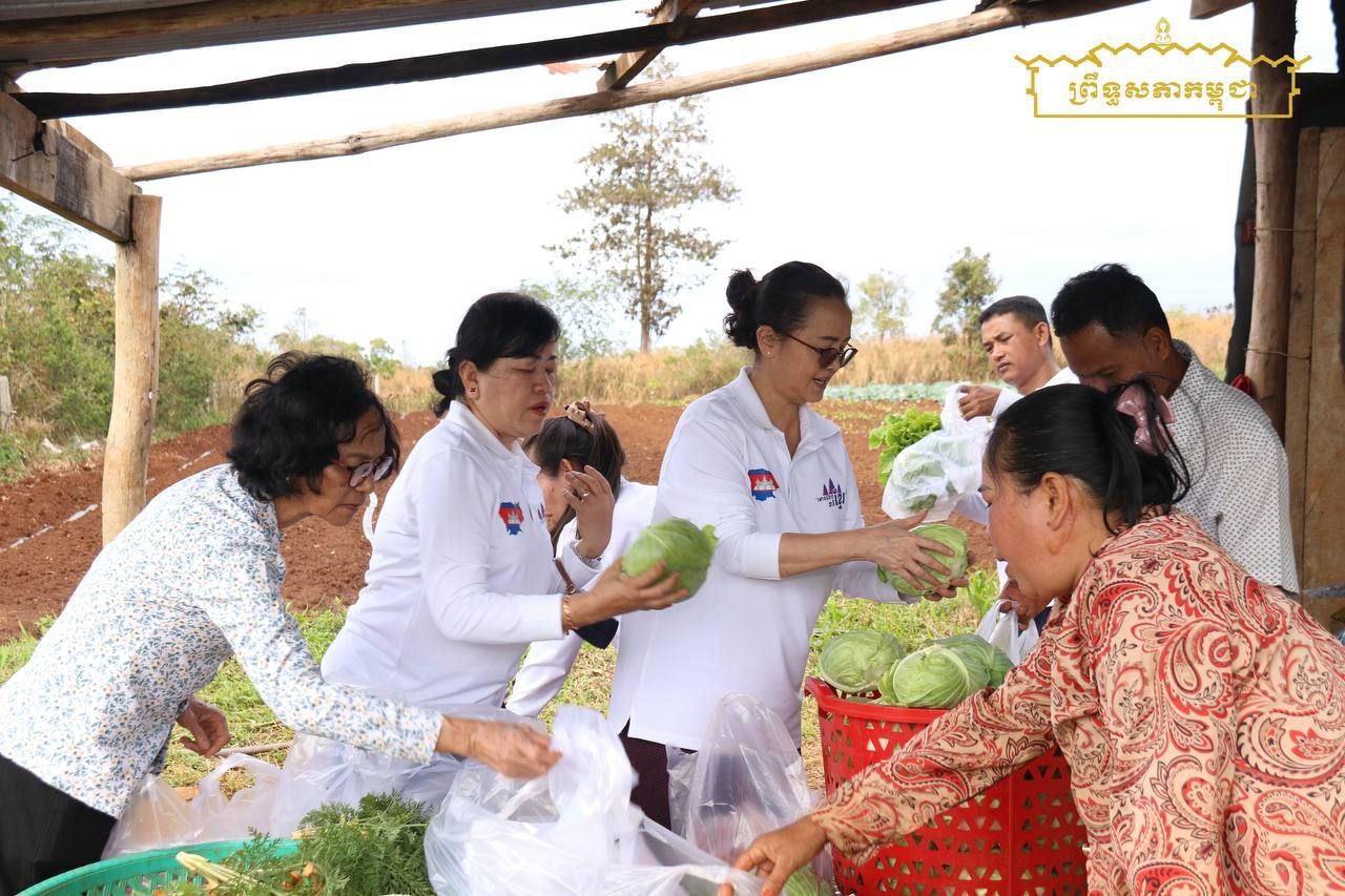 ក្រុមសមាជិកាព្រឹទ្ធសភា អញ្ជើញទស្សនកិច្ចសហគមន៍បន្លែធម្មជាតិ ខេត្តមណ្ឌលគិរី