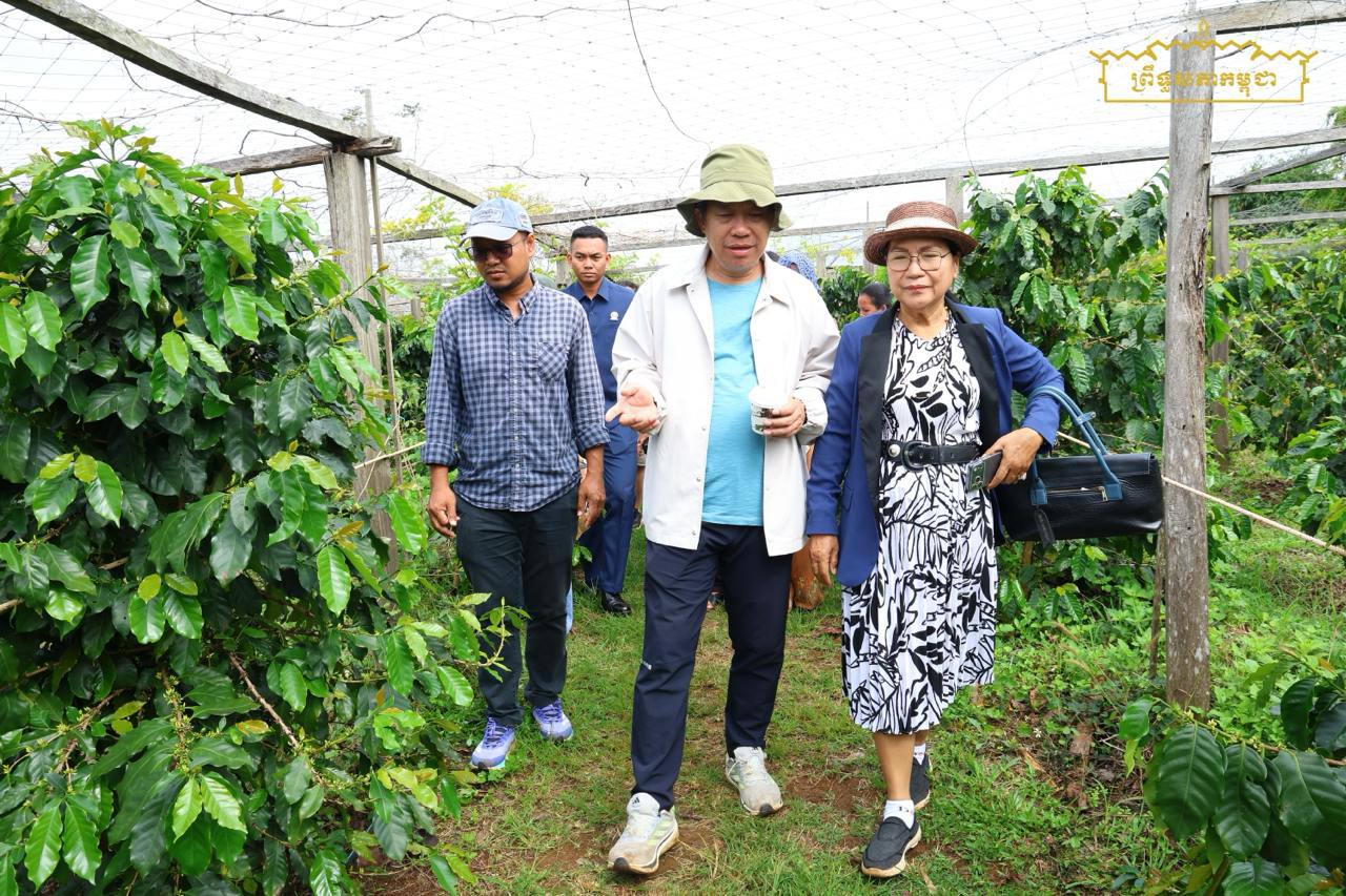 កឧត្តមបណ្ឌិត ធន់ វឌ្ឍនា កាហ្វេ និងកាកាវ ជាដំណាំយុទ្ធសាស្ត្រថ្មីសម្រាប់ភូមិភាគឦសាន និងលើកទឹកចិត្តឱ្យមានការបណ្តុះបណ្តាលបច្ចេកទេសកម្រិតខ្ពស់