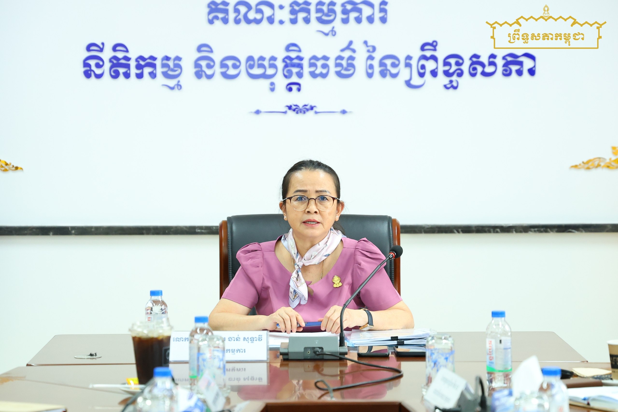 លោកជំទាវបណ្ឌិត ចាន់ សុទ្ធាវី អញ្ជើញដឹកនាំកិច្ចប្រជុំផ្ទៃក្នុងគណៈកម្មការទី៦ព្រឹទ្ធសភា